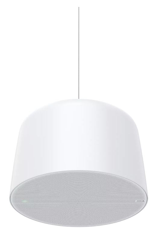 AXIS C1510 NETWORK PENDANT SPEAKER