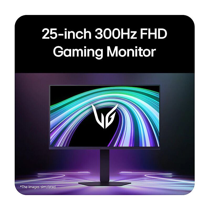 LG UltraGear 25' IPS Full HD 300Hz Monitor, 1920×1080, IPS, 300Hz, 1ms GtG