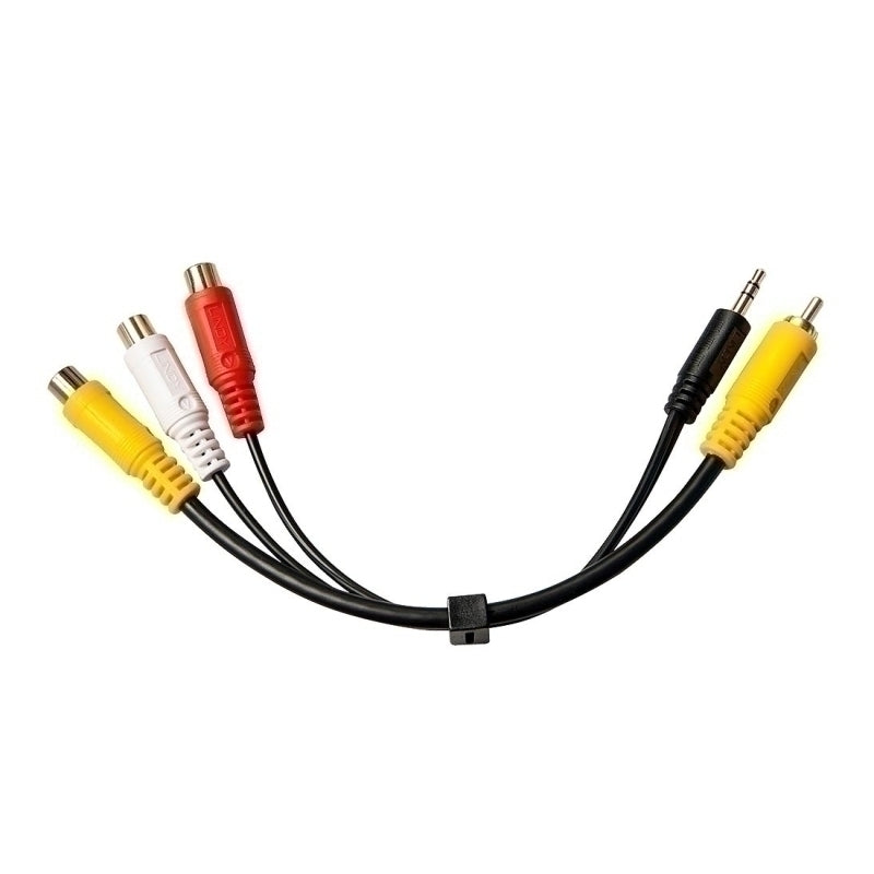 Lindy 3.5mm 3RCA 母头