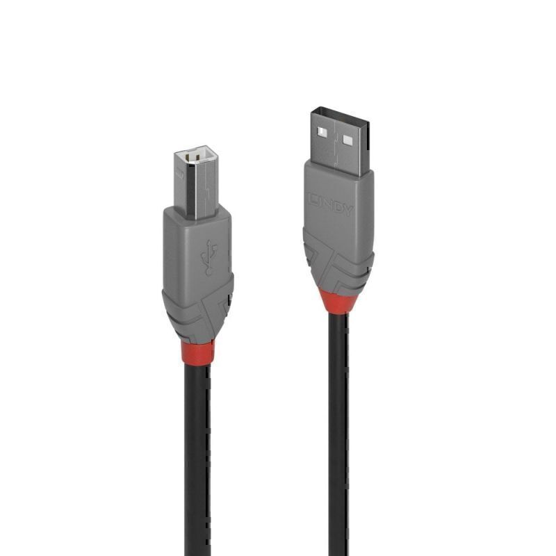 Lindy .2m USB2 AB 线缆 AL