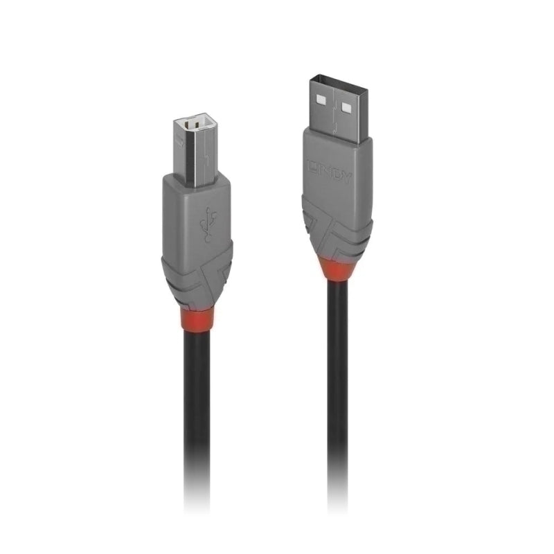 Lindy 10m USB 2 A 转 B,紫红色