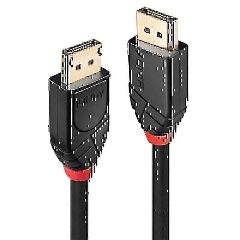 Lindy 10m 有源 DP 1.2 线缆