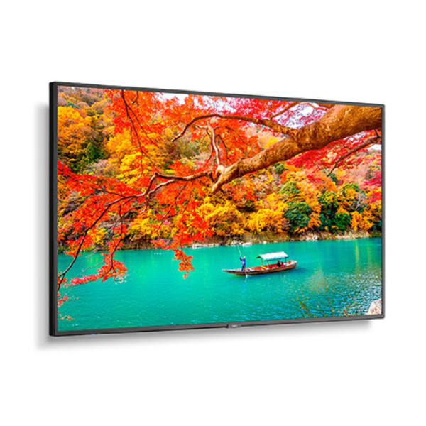 Sharp MA-series MA491 49" Professional Display, 4K UHD, 500-cd/m2 Brightness, IPS, 28% Haze Non-Glare, 300x300 VESA, 24/7 3Yr Warranty