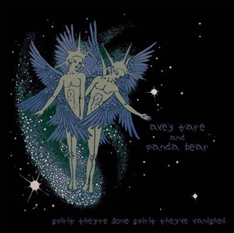 Spirit Theyre Gone Spirit They - Animal Collective Cd Album