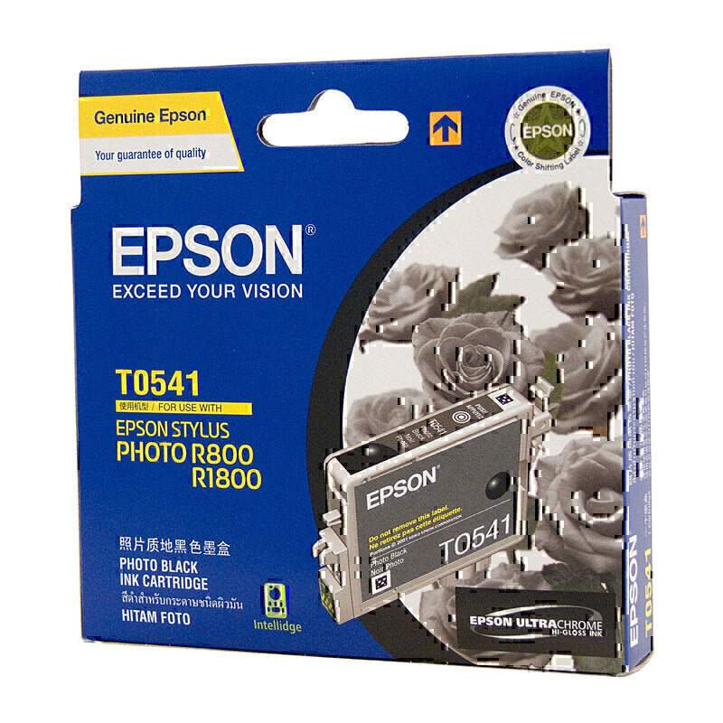 Epson T0541 Ph 黑色墨盒