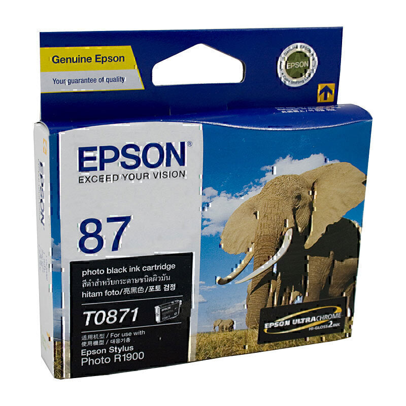 Epson T0871 Ph 黑色墨盒