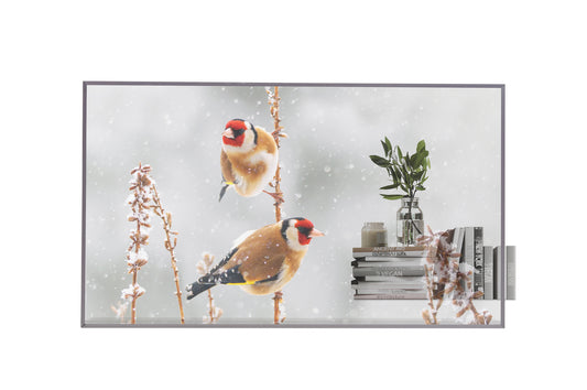 LG 55 55EW5P OLED FHD WEBOS 7.5 TRANSPARENT OPEN FRAME 18/7 DSP - MOVING CONTENT ONLY