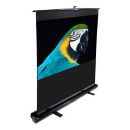 60 PORTABLE 43 PULL-UP PROJECTOR SCREEN FLOOR PULL UP SWIVEL LEGS EZCINEMA