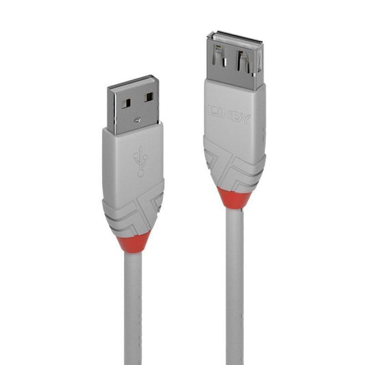 كابل Lindy USB2 A Ext بطول 1 متر AL