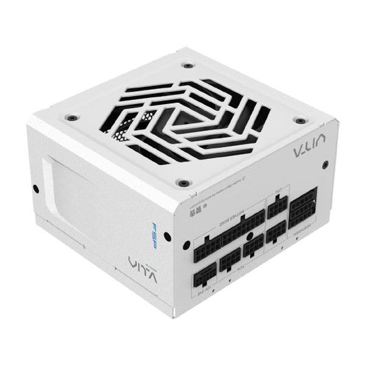 FSP VITA GM 750w Premium Power Supply, ATX Formfactor, 80+ Gold Certified, Fully Modular Cabling, ATX 3.1 &amp; PCIe 5.1 Ready, White Colour
