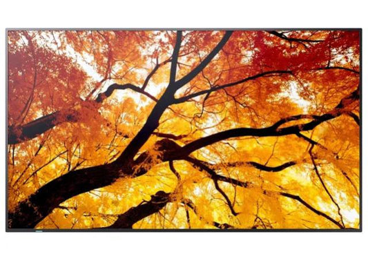 Sharp PN-M652 65" Large Display UHD