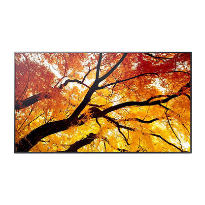 SHARP M-series 43'' Display
