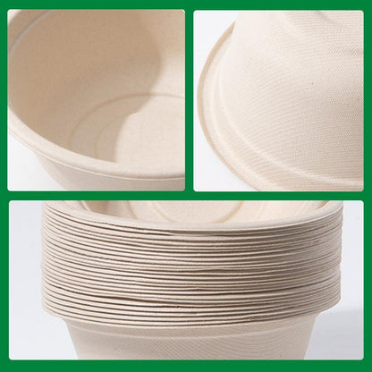250PCS Food Preparation Burger Storages Cake Packaging Box Lunch Boxes Primary - Primary 350ml+PP lid