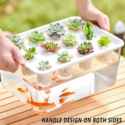 Transparent Rectangular Aquarium 12Hole Lid Portable Hydroponic Plant Fish Tank - Green